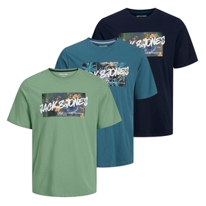 -green / ocean / sky