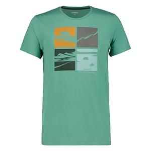 -565 antik green