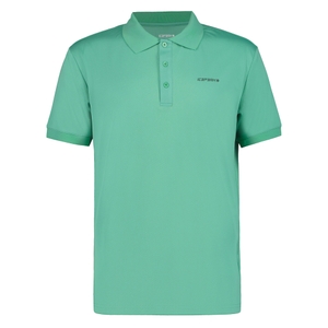 -565 antik green