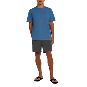 O'Neill Herren Badeshorts Badehose Vert 16" Swimshorts - Bild 2
