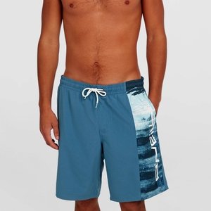 O'Neill Herren Badeshorts Badehose Retro 19'' Swimshorts - Bild 4