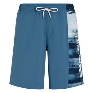 O'Neill Herren Badeshorts Badehose Retro 19'' Swimshorts