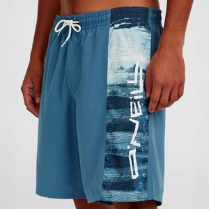 O'Neill Herren Badeshorts Badehose Retro 19'' Swimshorts - Bild 5