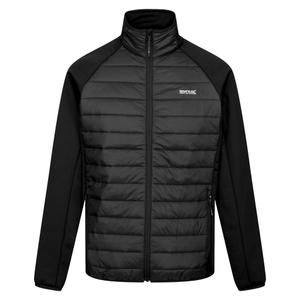 -800 black