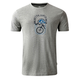 -81I ash grey marl