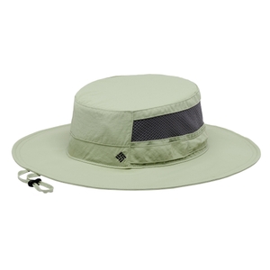 -351 safari