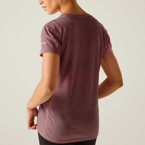 Regatta Damen Funktionsshirt T-Shirt Oberteil Escade T-Shirt Damen - Bild 4