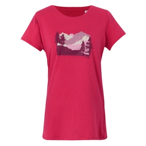 Regatta Damen Funktionsshirt T-Shirt Oberteil Breezed V