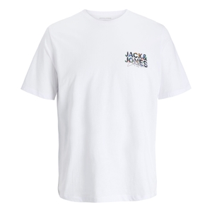 -white small print