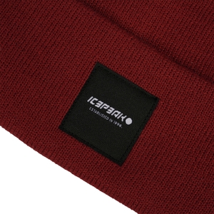 Icepeak Damen Herren Unisex Mütze Strickmütze Harcourt - Bild 2