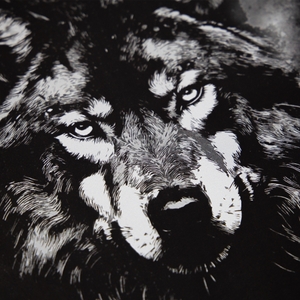 ONE STRANGE ROCK Herren Shirt Kurzarmshirt T-Shirt Crew Neck Wolf - Bild 5 ONE STRANGE ROCK Herren Shirt Kurzarmshirt T-Shirt Crew Neck Wolf - Bild 5