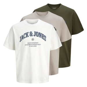 -moonbeam / dusty olive / cloud dancer