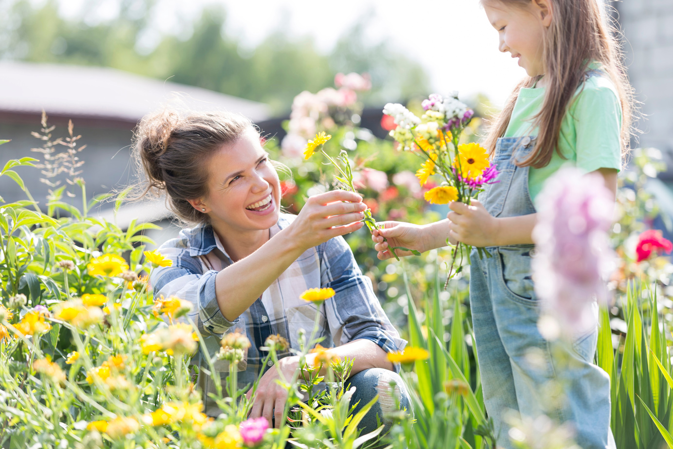 Tips voor het planten