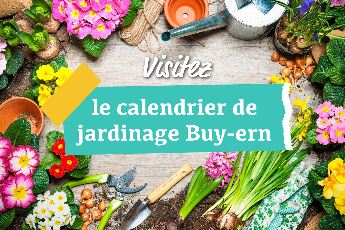 Planning annuel pour le jardin