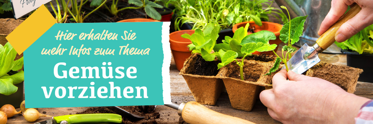 Gemüsegarten