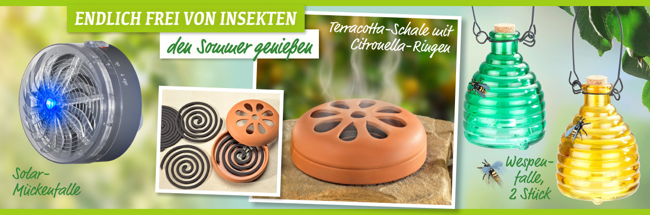 Insekten