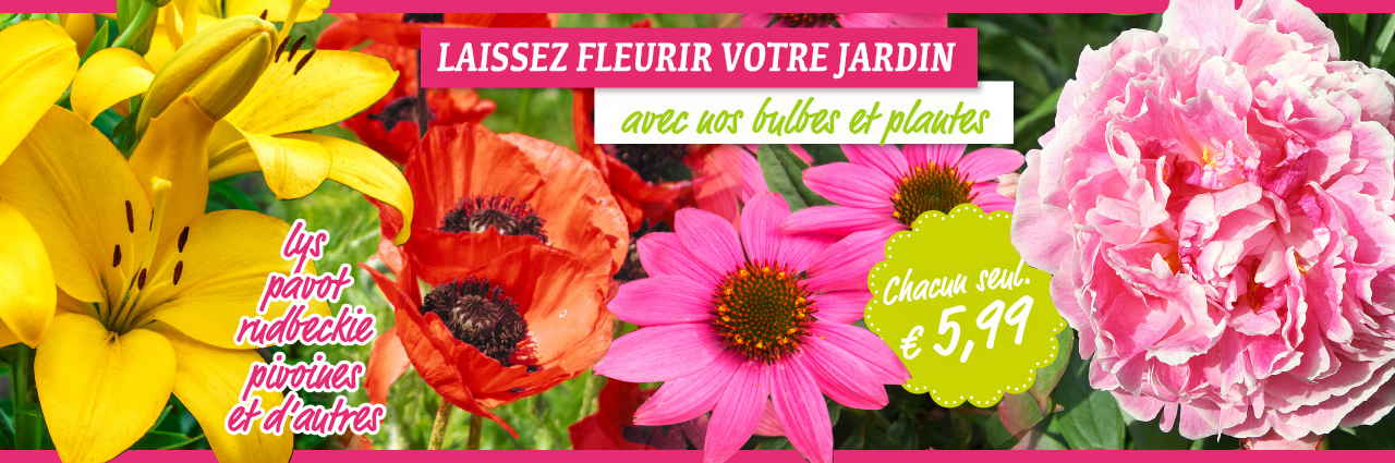 Plantes