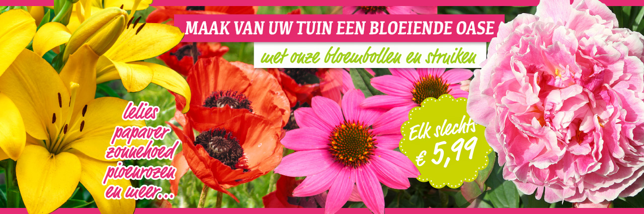Planten