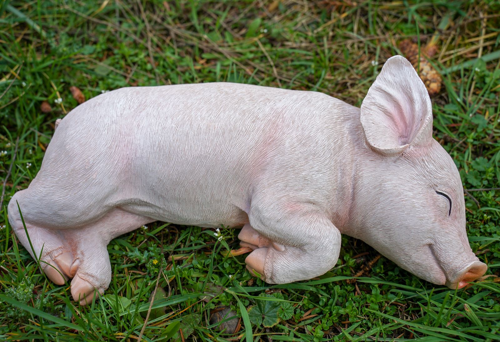 Schweinchen Schlafend Glucksschwein Schwein Gartenfigur Garten