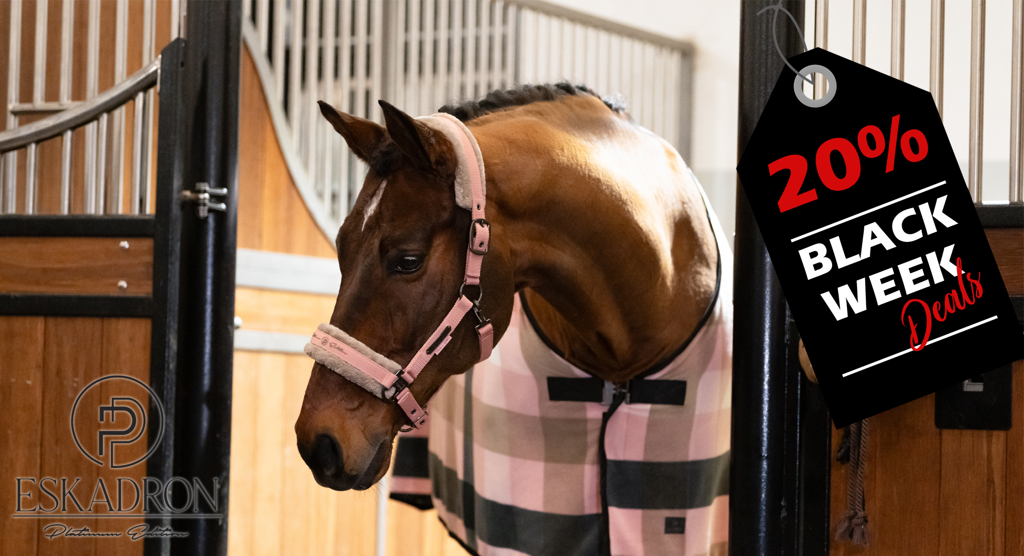 Eskadron Platinum 2025