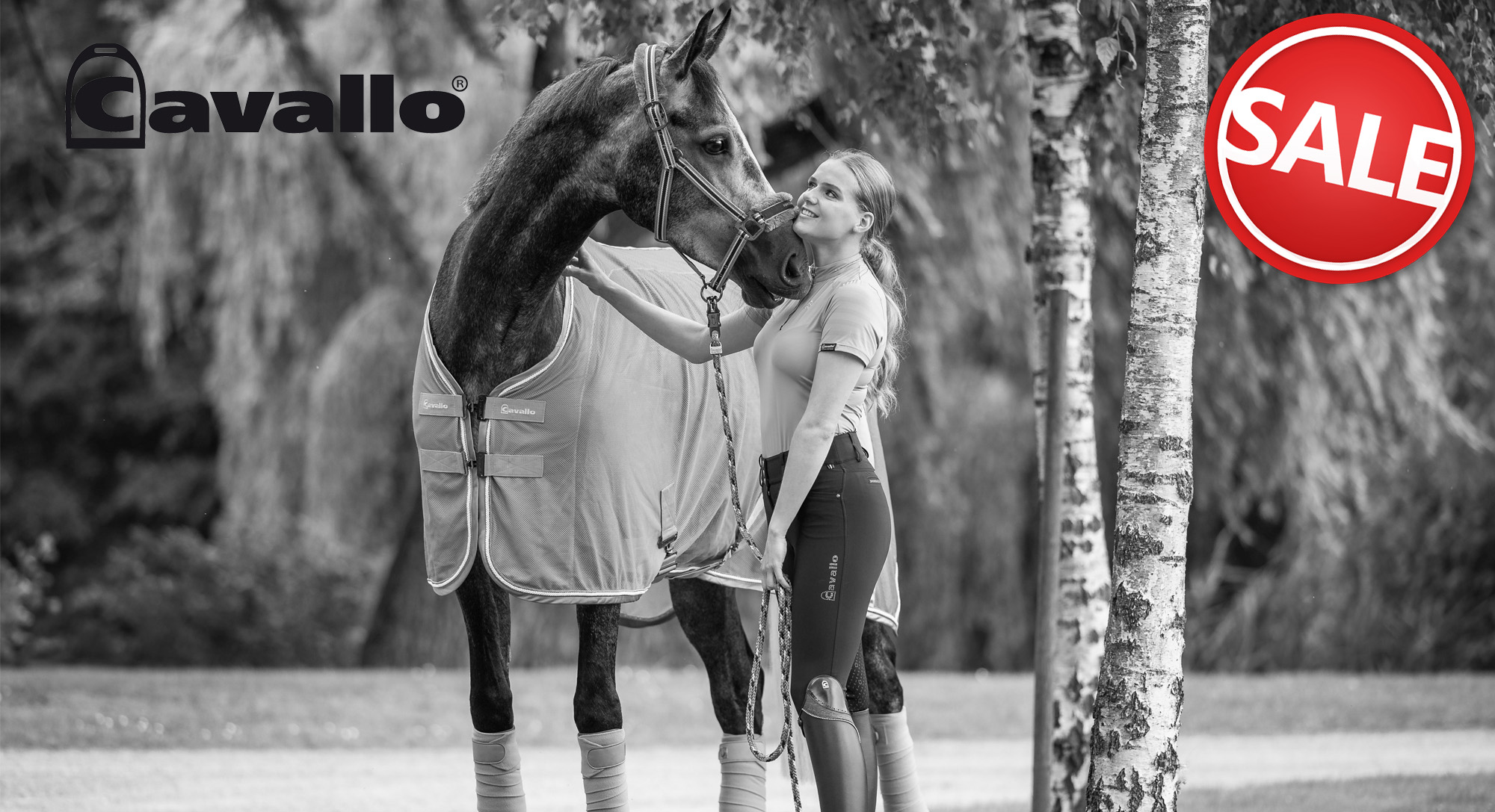 Cavallo SALE