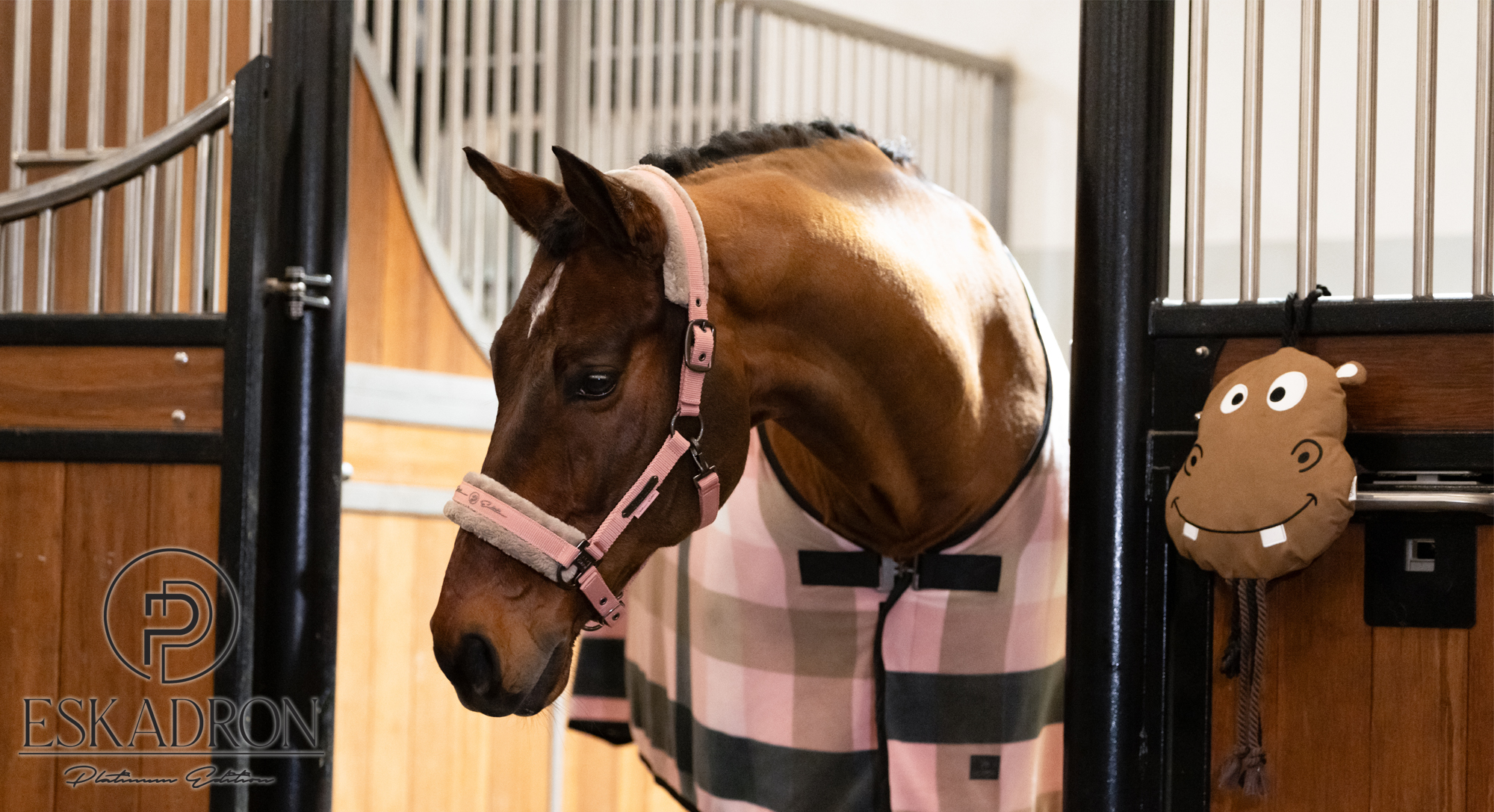 Eskadron Platinum 2025