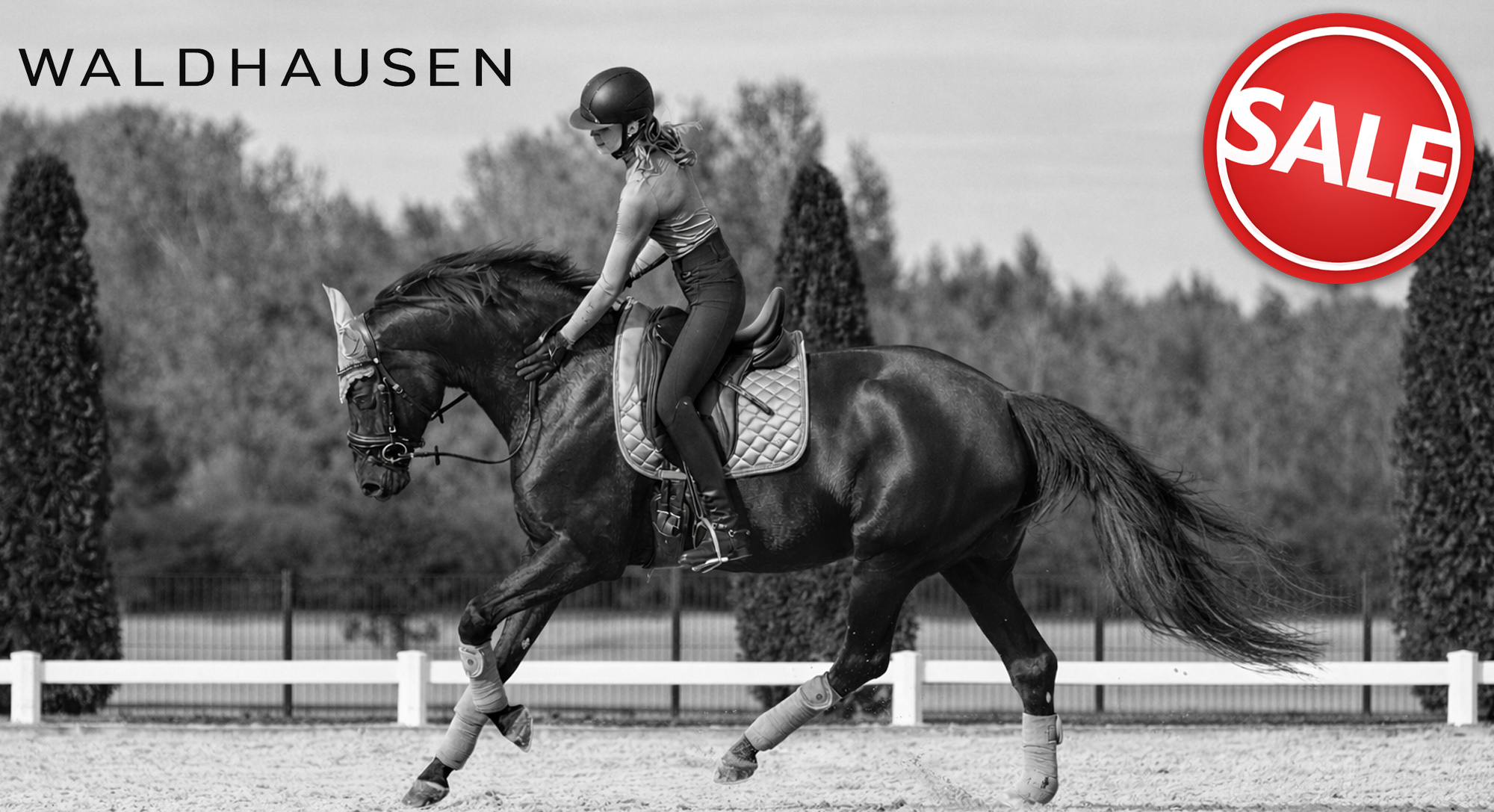 Waldhausen SALE