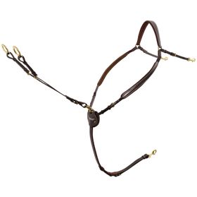 PASSIER Marcus Ehning Vorderzeug havanna (Messing-Beschläge) Größe Full