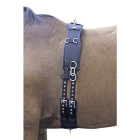 Euroriding Nylon Longiergurt in Warmblut