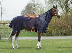 Busse - Ausreitdecke, Fliegendecke Montana in vielen Größen - NEU