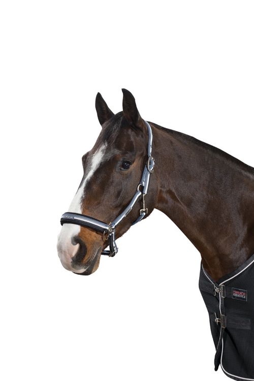 Eskadron Halfter DORNSCHNALLE in lightgrey/white/anthra, Pony 2