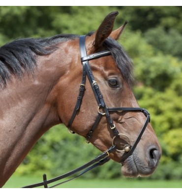 Kieffer Trense Carmen schwarz, mex. Reithalfter, Messing