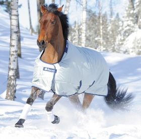 Bucas Power turnout Weidedecke extra in silber