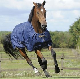 Bucas Irish Turnout medium (150g) in navy - NEU