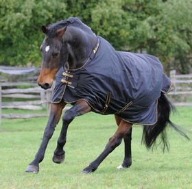 Bucas Irish Turnout medium (150g) in black - NEU