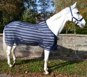 Garizelle Fliegendecke in navy