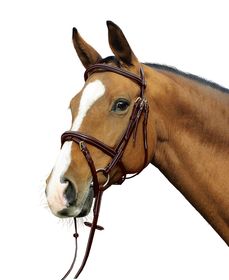 Euroriding Trense Mliwaukee, engl. Reithalfter, weiße Nähte