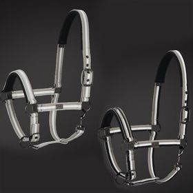 Eskadron Platinum Halfter Dornschnalle