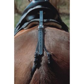 Euroriding Schweif-Sattelriemen 