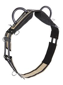 Busse Longiergurt Double in 4 Größen