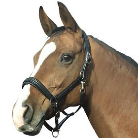 Euroriding Lederhalfter Boston in braun und schwarz