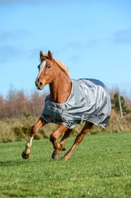 Bucas Smartex Medium  Iron Gate