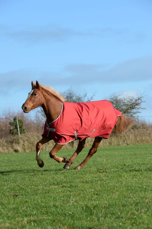 Bucas Freedom Turnout Heavy 300g. in Coffee und Chilli Red