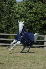 Bucas Freedom Turnout Light F/N in Navy
