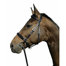 Euroriding Trensen- Halfter Kombi Biron in schwarz