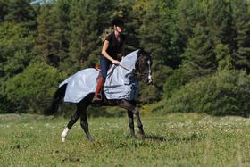 Bucas Buzz-Off Riding Blue