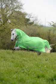 Bucas Freedom Fly Sheet F/N Classic Green und Hot Pink FS 2020