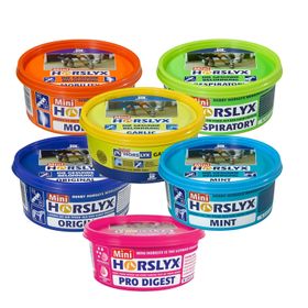 Derby Leckmasse Horslyx Rainbow-Box - alle 6 Sorten