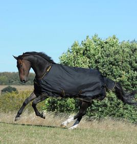 Bucas Irish Turnout light (50g) in black - NEU