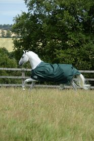 Bucas Green-Line Turnout Decke 100g.